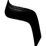 photo_2026-04-12 18.07.02