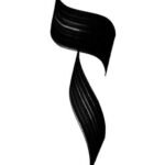 photo_2026-04-12 18.07.55