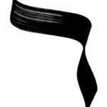 photo_2026-04-12 18.08.35