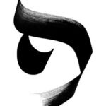 photo_2026-04-12 18.08.52